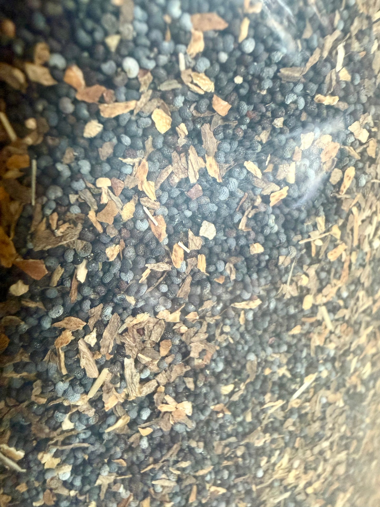 Poppy Seeds
